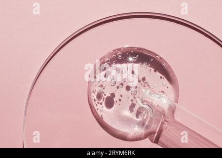 Pipeter avec un échantillon de gels de produit cosmétique dans une boîte de Pétri sur fond rose, ombres dures Banque D'Images