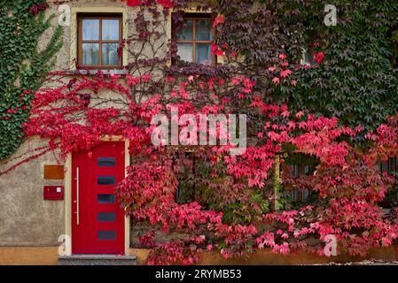 Trottoir le long des maisons et des voitures garées dans une zone urbaine avec des maisons privées de faible hauteur. Suburban House parmi les arbres d'automne. Grande pelouse bien entretenue et Banque D'Images