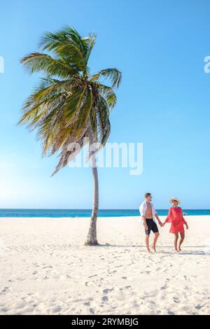 Eagle Beach Aruba, palmiers sur le rivage de Eagle Beach à Aruba, Banque D'Images