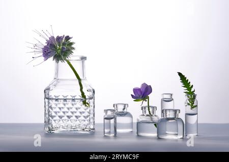 Différentes bouteilles d'eau avec des fleurs sur un fond clair. Il peut s'adapter au thème des cosmétiques, du verre et de la fraîcheur. Banque D'Images