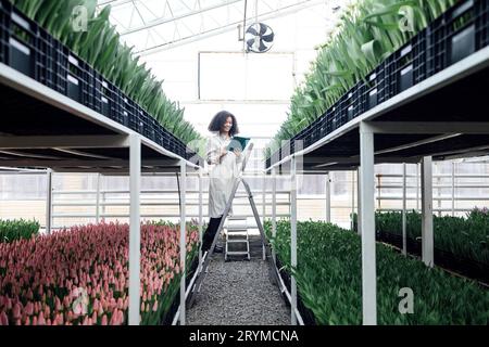 Jeune fille africaine mignonne utilise la tablette numérique pour travailler avec des tulipes en serre. Banque D'Images