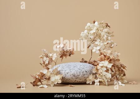 Podium de galets arrondis et fleurs séchées. Contexte de tendance pour la présentation de produits respectueux de l'environnement et zéro déchet dans la terre Banque D'Images