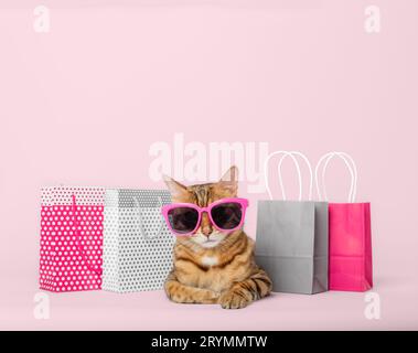 Chat rouge drôle dans des verres avec des sacs à provisions en papier sur un fond coloré. Banque D'Images