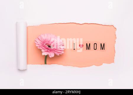 Mise en page créative faite de texte J'aime maman et fleur rose gerbera sur fond de pêche. Papier d'art déchiré simple J'adore maman conc Banque D'Images