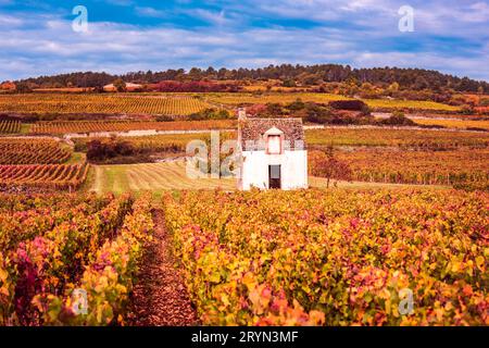 Chateau de vignes dans la saison d'automne, Bourgogne, France Banque D'Images