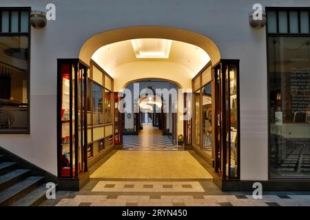 Vue intérieure de Specks Hof, atrium C avec allée, galerie marchande, Leipzig, Saxe, Allemagne, Europe Banque D'Images