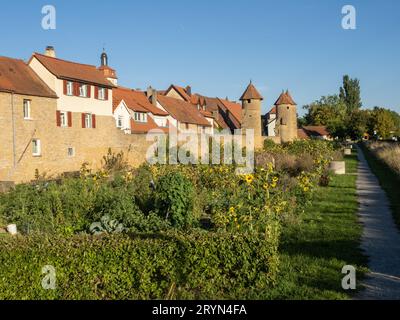 Une partie de la vieille muraille de la ville et des tours, devant elle les jardins des douves, Mainbernheim, Basse-Franconie, Bavière, Allemagne Banque D'Images