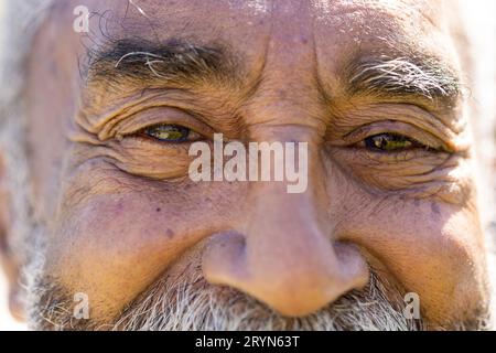 Portrait en gros plan de l'homme biracial senior heureux regardant l'appareil photo et souriant au soleil Banque D'Images