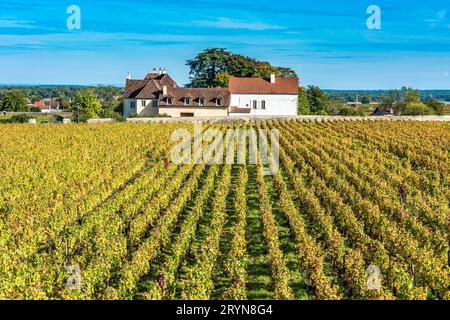 Chateau de vignes dans la saison d'automne, Bourgogne, France Banque D'Images