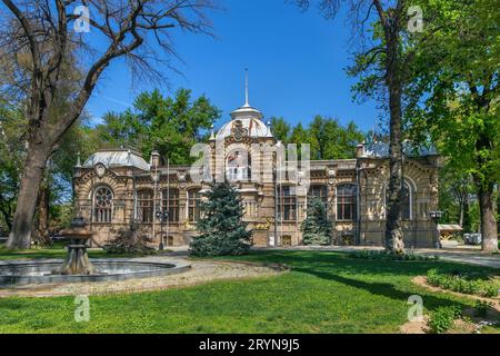 Palais du Prince Romanov, Tachkent, Ouzbékistan Banque D'Images