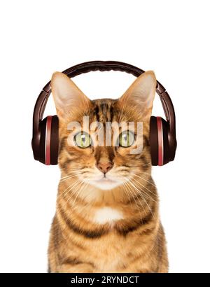 Chat rouge dans les écouteurs sur le fond, écoutant de la musique. Banque D'Images