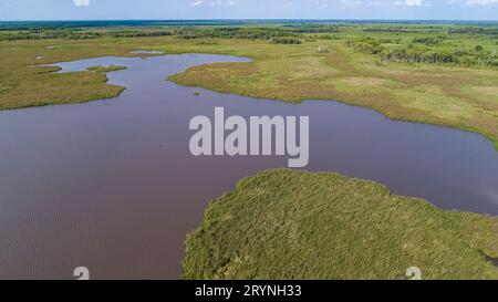 Vue aérienne du paysage typique du Pantanal avec lagunes, rivières, prairies et forêt, Pantanal Wetland Banque D'Images