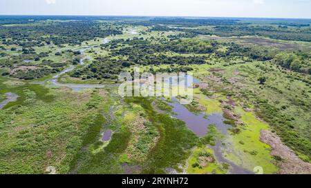 Vue aérienne du paysage typique des zones humides du Pantanal avec des lagunes, des forêts, des prairies, des rivières, des champs Banque D'Images