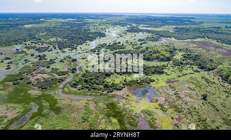 Vue aérienne du paysage typique des zones humides du Pantanal avec des lagunes, des forêts, des prairies, des rivières, des champs Banque D'Images