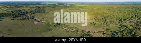 Vue aérienne du paysage rural typique dans les zones humides du Pantanal, Mato Grosso, Brésil Banque D'Images