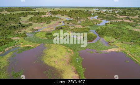 Vue aérienne du paysage typique des zones humides du Pantanal avec lagunes, forêt, prairies, rivière, champs, mat Banque D'Images