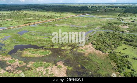 Vue aérienne du magnifique paysage des zones humides du Pantanal avec la route Transpantaneira et les oiseaux aquatiques, Mato Banque D'Images