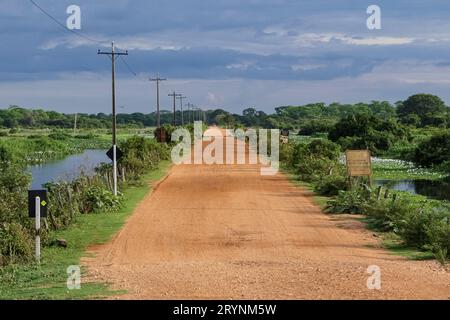 Vue du chemin de terre de Transpantaneira menant au ciel avec des nuages à l'horizon, terres humides du nord du Pantanal Banque D'Images