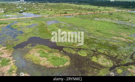 Vue aérienne du magnifique paysage des zones humides du Pantanal avec la route Transpantaneira et les oiseaux aquatiques, Mato Banque D'Images