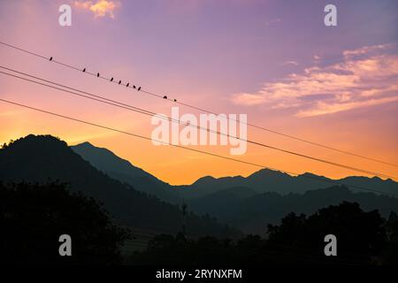 Troupeau d'oiseaux assis sur une ligne électrique avec coucher de soleil et montagne en arrière-plan. Banque D'Images