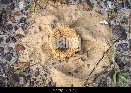 Magnifique trou de sable fin sur le sol, d'en haut, parc naturel de Caraca, Minas Gerais, Brésil Banque D'Images