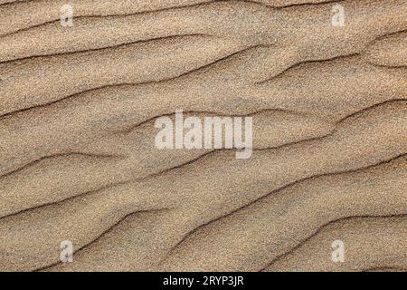Une photographie plein format regardant vers le bas des motifs naturels dans le sable Banque D'Images