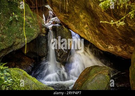 Gros plan d'une petite cascade pittoresque plongeant à travers de gros rochers couverts de mousse dans une piscine, tropicale A. Banque D'Images