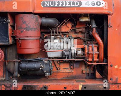 Gros plan d'un moteur d'un tracteur Nuffield 460 exposé au Museum of Rural Life, Lamport, Northamptonshire, Royaume-Uni Banque D'Images