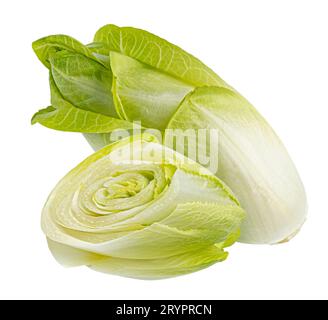 Salade de chicorée verte, endive fraîche, isolée sur fond blanc Banque D'Images