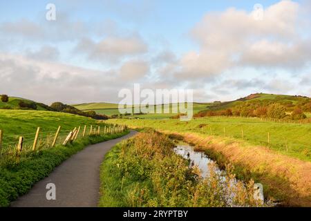 Un sentier goudronné longeant Mill beck en Cumbria et se jetant dans la campagne, avec des champs herbeux de chaque côté. Banque D'Images