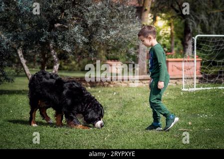 Jeune garçon jouant avec son chien de montagne bernois dans le jardin. Banque D'Images