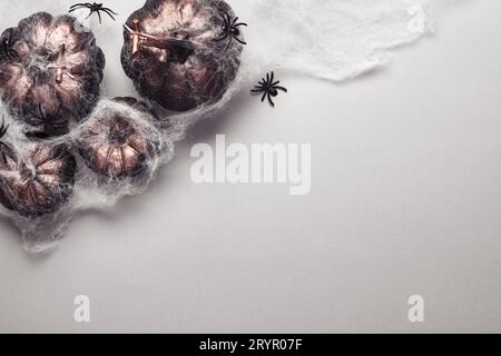 Citrouilles noires Halloween sous toile d'araignée avec des araignées sur fond gris. Décorations de fête d'Halloween Banque D'Images