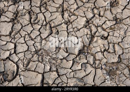 Sol sec et fissuré dans les prairies du Rhin à Cologne, Allemagne. 28 septembre 2023 trockener, rissiger Boden in den Rheinauen in Koeln, DEU Banque D'Images