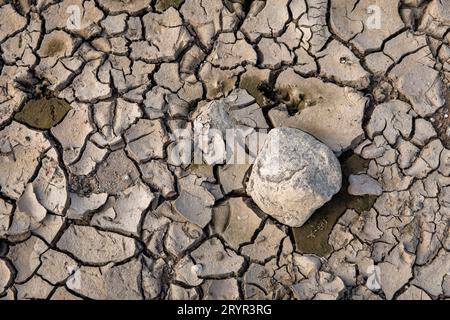 Sol sec et fissuré dans les prairies du Rhin à Cologne, Allemagne. 28 septembre 2023 trockener, rissiger Boden in den Rheinauen in Koeln, DEU Banque D'Images