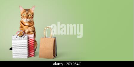 Chat au gingembre avec des sacs à provisions sur un fond coloré. Banque D'Images