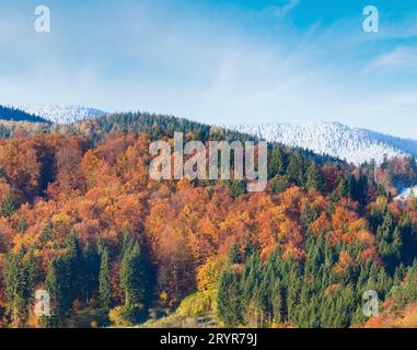 La forêt d'automne Banque D'Images