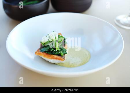 Filet de poisson John Dory avec Spigarello vert, pois et fleurs, avec émulsion d'agrumes Sudachi. Cuisine fine au Bennelong Restaurant, Opéra de Sydney Banque D'Images