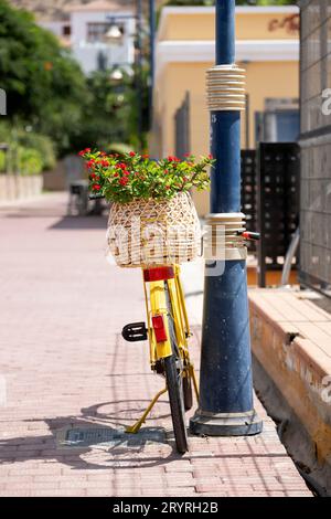 Un vélo jaune vif est parti dans une rue. Le vélo a un porte-roue arrière avec un panier contenant une plante à fleurs rouges Banque D'Images