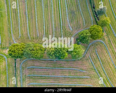 Motifs colorés dans les champs de culture aux terres agricoles, vue aérienne, photo drone. Formes géométriques abstraites des parcelles agricoles de dif Banque D'Images