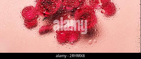 Fleurs sous verre avec des gouttes d'eau. Roses rouges sur bannière rose et motif blobs Banque D'Images