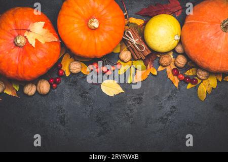 Composition de Thanksgiving de citrouille de récolte d'automne sur un fond noir Banque D'Images