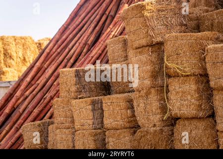 Balle de foin et paille dans le champ. English Paysage rural. Récolte d'or jaune de blé en été. Paysage naturel de campagne. Récolte de céréales, récolte. Banque D'Images