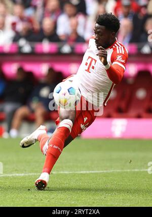 Firo : 09/23/2023, football, football, 1e Bundesliga, saison 2023/2024, 5e journée, FC Bayern Munich - VfL Bochum, Alphonso Davies, FC Bayern Munich, Bayern, FCB, Munich, action individuelle, Banque D'Images