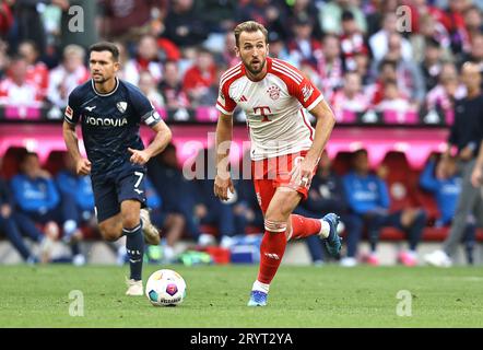 Firo : 09/23/2023, football, football, 1e Bundesliga, saison 2023/2024, 5e journée, FC Bayern Munich - VfL Bochum, Harry Kane, FC Bayern Munich, Bayern, FCB, Munich, chiffre entier, Banque D'Images