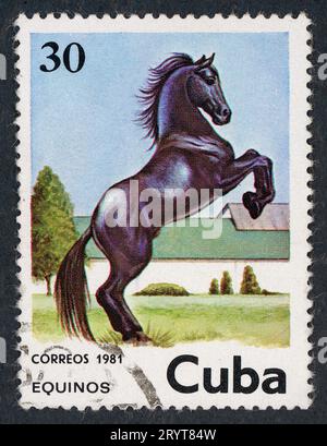 Équidés, en espagnol 'equinos'. Timbre-poste émis à Cuba en 1981. Banque D'Images