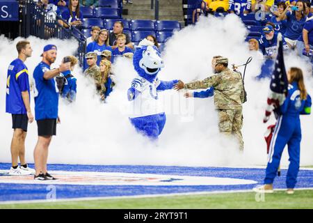 01 octobre 2023 : mascotte bleue des Colts d'Indianapolis lors d'un match de football entre les Rams de Los Angeles et les Colts d'Indianapolis à Indianapolis, Indiana. Los Angeles bat Indianapolis 29-23 en prolongation. John Mersits/CSM. Banque D'Images