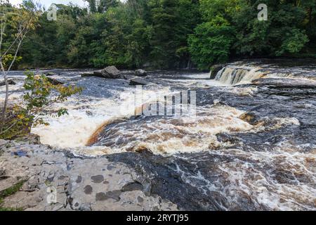 Aysgarth Falls sur la rivière Ure dans le parc national des Yorkshire Dales, North Yorkshire, Angleterre, Royaume-Uni Banque D'Images