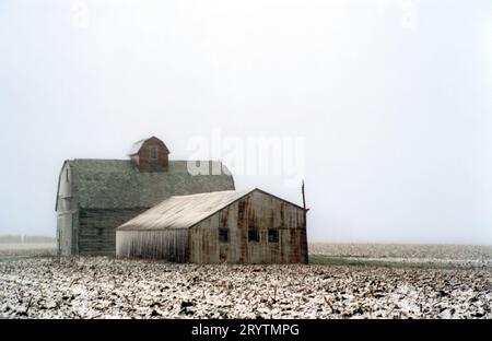 Dépendances agricoles dans une tempête de neige Banque D'Images