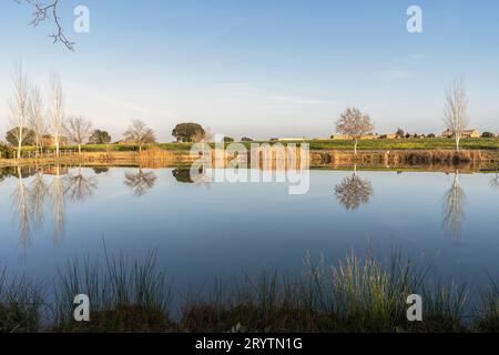 Un lac calme au coucher du soleil reflétant quelques arbres dans l'eau. Coucher de soleil dans l'heure dorée. Symétrie parfaite des arbres se reflétant sur l'eau en été. Banque D'Images