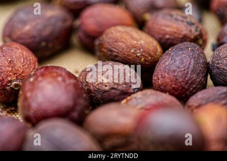 Gros plan de plusieurs cerises de café mûres Banque D'Images